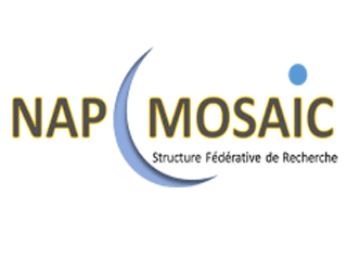 logo Nap Mosaic